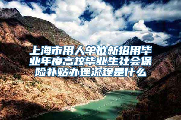 上海市用人单位新招用毕业年度高校毕业生社会保险补贴办理流程是什么