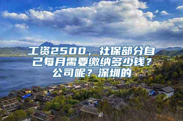 工资2500，社保部分自己每月需要缴纳多少钱？公司呢？深圳的