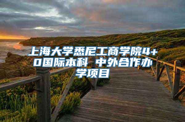 上海大学悉尼工商学院4+0国际本科 中外合作办学项目