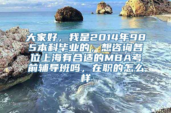 大家好，我是2014年985本科毕业的，想咨询各位上海有合适的MBA考前辅导班吗，在职的怎么样