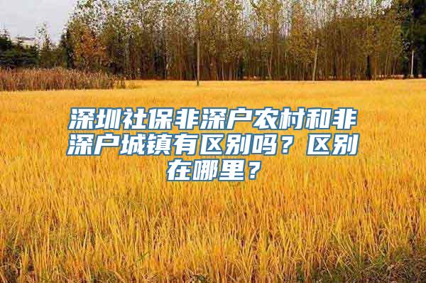 深圳社保非深户农村和非深户城镇有区别吗？区别在哪里？