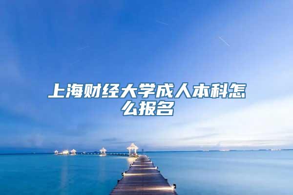 上海财经大学成人本科怎么报名