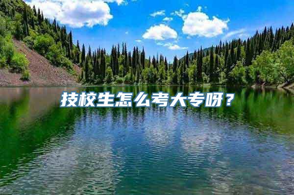 技校生怎么考大专呀？