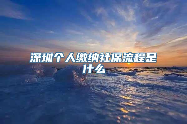 深圳个人缴纳社保流程是什么