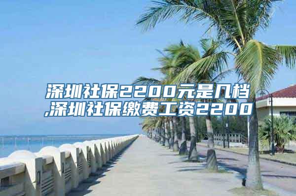 深圳社保2200元是几档,深圳社保缴费工资2200