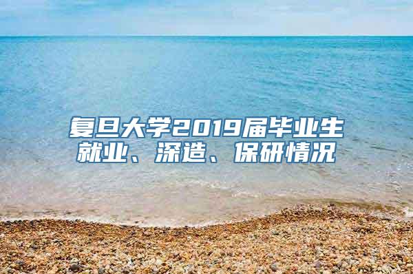 复旦大学2019届毕业生就业、深造、保研情况