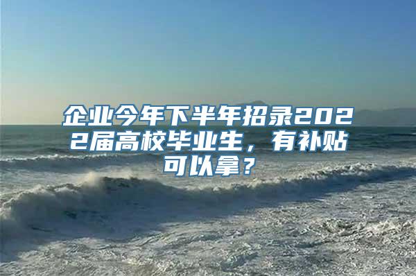 企业今年下半年招录2022届高校毕业生，有补贴可以拿？