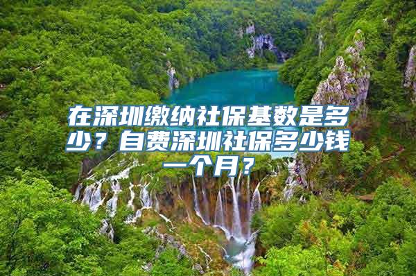 在深圳缴纳社保基数是多少？自费深圳社保多少钱一个月？