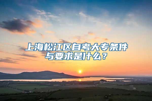 上海松江区自考大专条件与要求是什么？