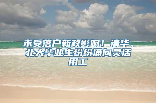 未受落户新政影响！清华、北大毕业生纷纷涌向灵活用工