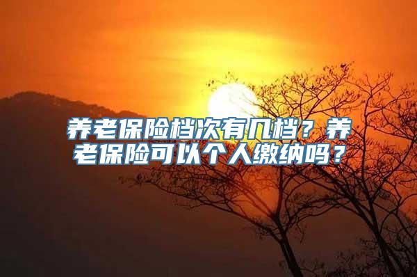 养老保险档次有几档？养老保险可以个人缴纳吗？