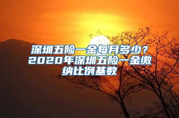 深圳五险一金每月多少？2020年深圳五险一金缴纳比例基数