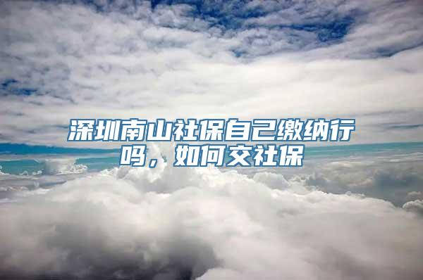 深圳南山社保自己缴纳行吗，如何交社保