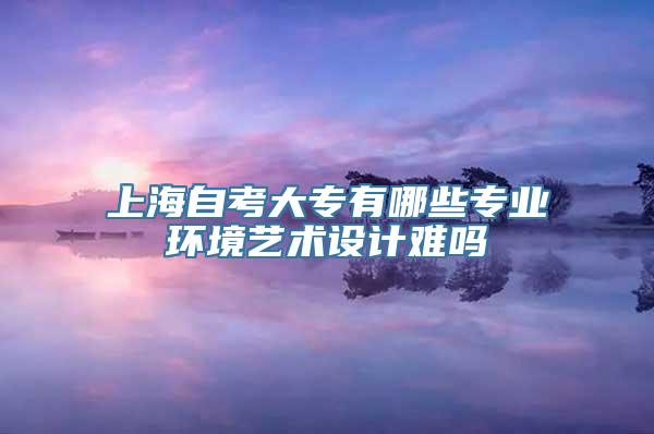 上海自考大专有哪些专业环境艺术设计难吗