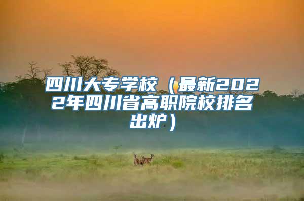 四川大专学校（最新2022年四川省高职院校排名出炉）