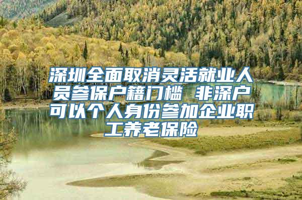 深圳全面取消灵活就业人员参保户籍门槛 非深户可以个人身份参加企业职工养老保险