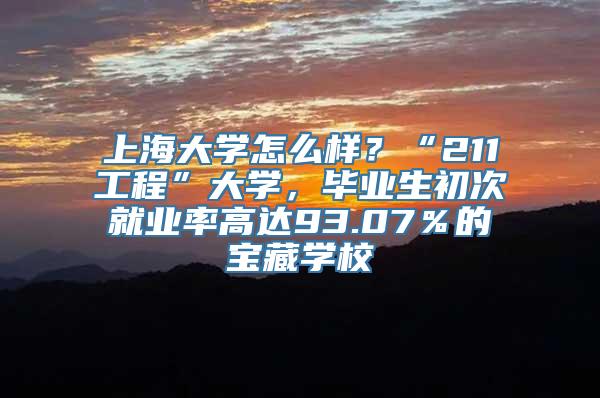 上海大学怎么样？“211工程”大学，毕业生初次就业率高达93.07％的宝藏学校