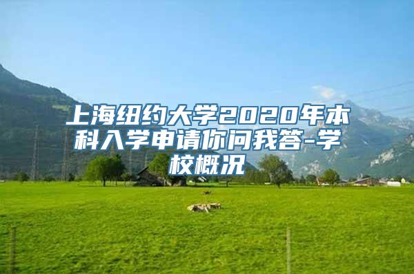 上海纽约大学2020年本科入学申请你问我答-学校概况