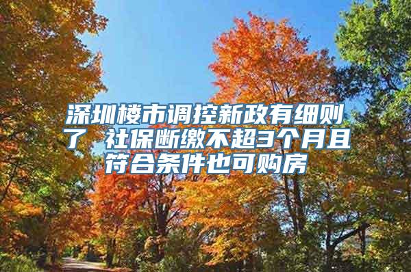 深圳楼市调控新政有细则了 社保断缴不超3个月且符合条件也可购房