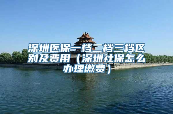 深圳医保一档二档三档区别及费用（深圳社保怎么办理缴费）