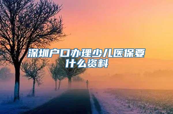 深圳户口办理少儿医保要什么资料