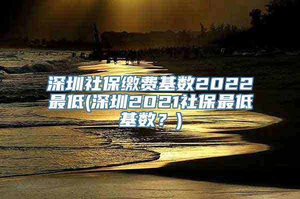 深圳社保缴费基数2022最低(深圳2021社保最低基数？)