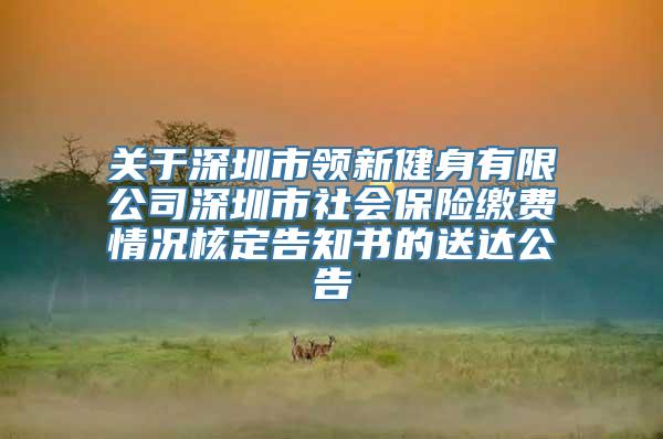 关于深圳市领新健身有限公司深圳市社会保险缴费情况核定告知书的送达公告