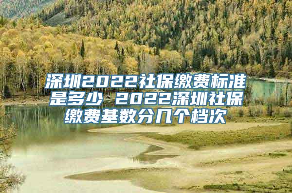 深圳2022社保缴费标准是多少 2022深圳社保缴费基数分几个档次