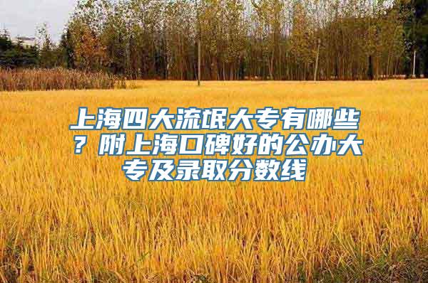 上海四大流氓大专有哪些？附上海口碑好的公办大专及录取分数线