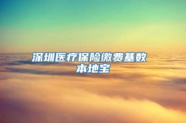 深圳医疗保险缴费基数 本地宝