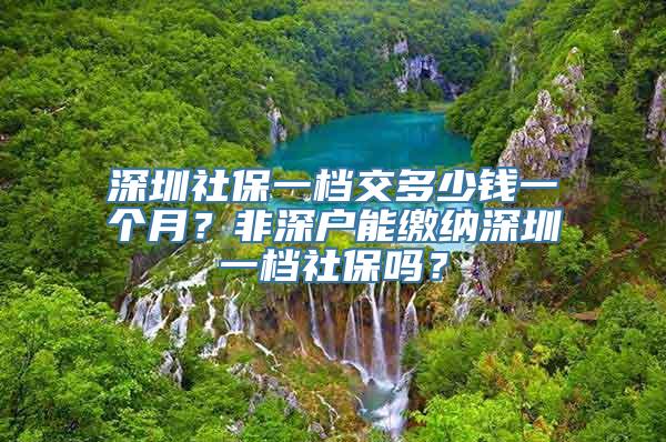 深圳社保一档交多少钱一个月？非深户能缴纳深圳一档社保吗？