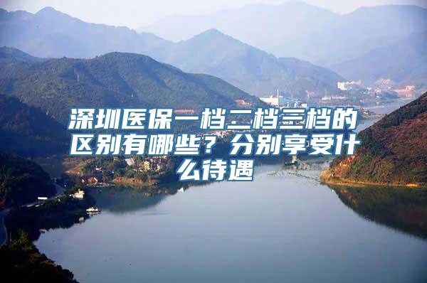 深圳医保一档二档三档的区别有哪些？分别享受什么待遇