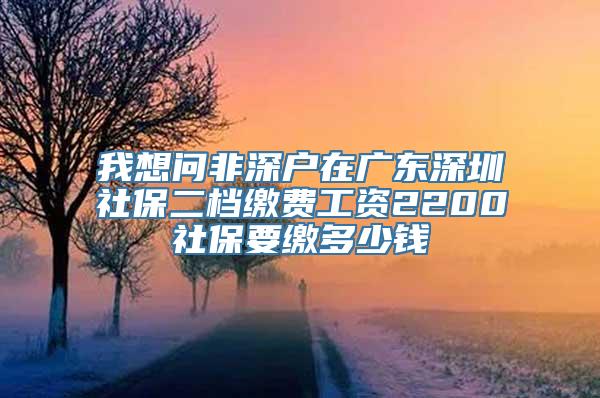 我想问非深户在广东深圳社保二档缴费工资2200社保要缴多少钱