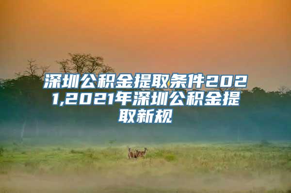 深圳公积金提取条件2021,2021年深圳公积金提取新规