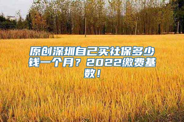 原创深圳自己买社保多少钱一个月？2022缴费基数！