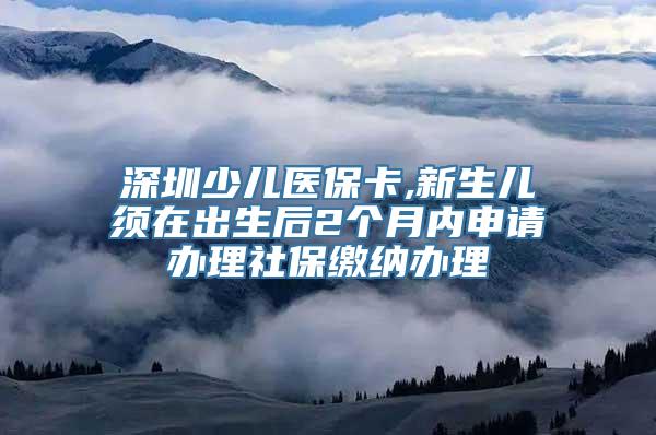 深圳少儿医保卡,新生儿须在出生后2个月内申请办理社保缴纳办理