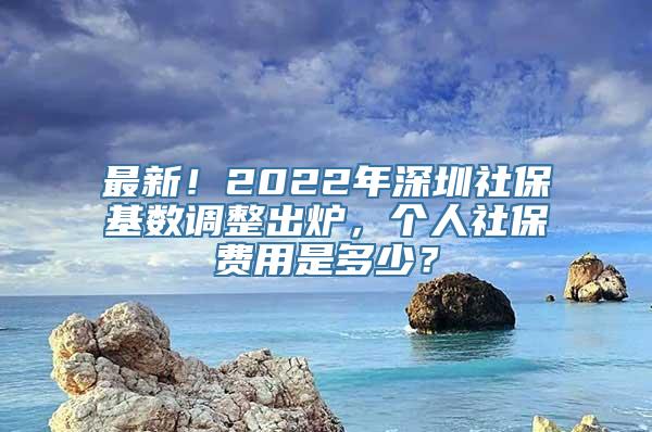 最新！2022年深圳社保基数调整出炉，个人社保费用是多少？