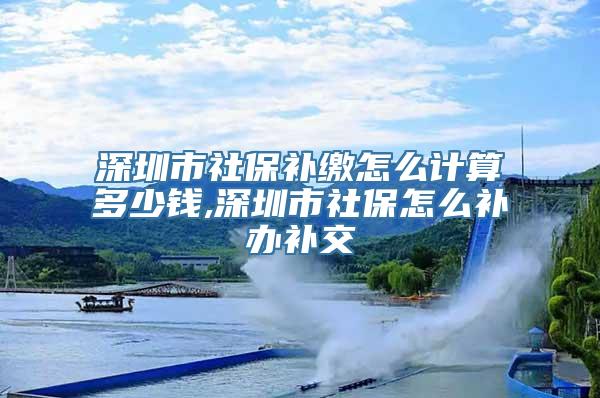 深圳市社保补缴怎么计算多少钱,深圳市社保怎么补办补交