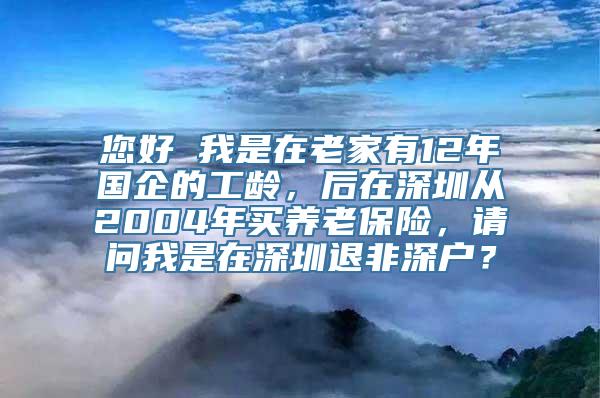 您好 我是在老家有12年国企的工龄，后在深圳从2004年买养老保险，请问我是在深圳退非深户？