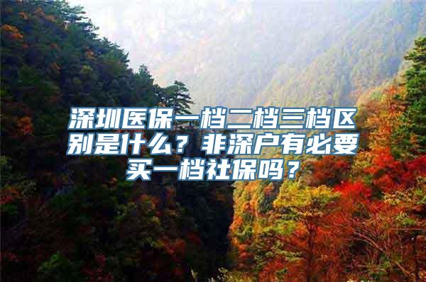 深圳医保一档二档三档区别是什么？非深户有必要买一档社保吗？