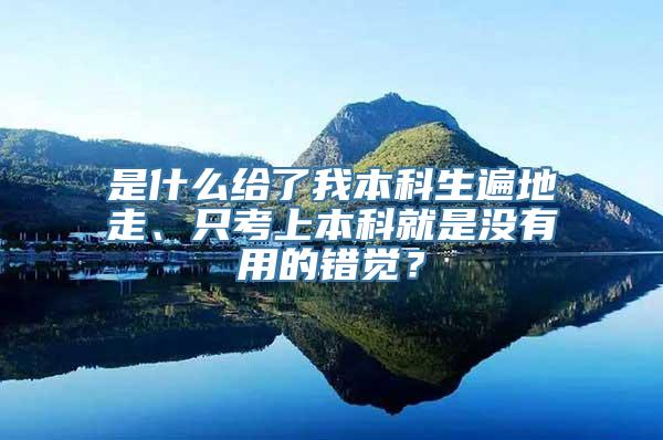 是什么给了我本科生遍地走、只考上本科就是没有用的错觉？