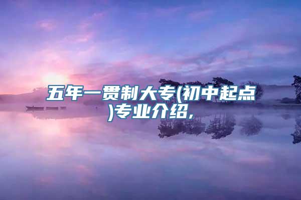 五年一贯制大专(初中起点)专业介绍,