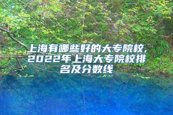 上海有哪些好的大专院校,2022年上海大专院校排名及分数线