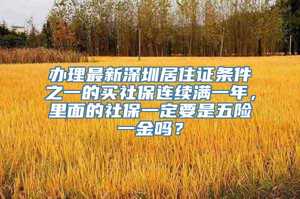 办理最新深圳居住证条件之一的买社保连续满一年，里面的社保一定要是五险一金吗？