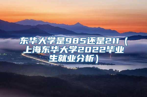 东华大学是985还是211（上海东华大学2022毕业生就业分析）