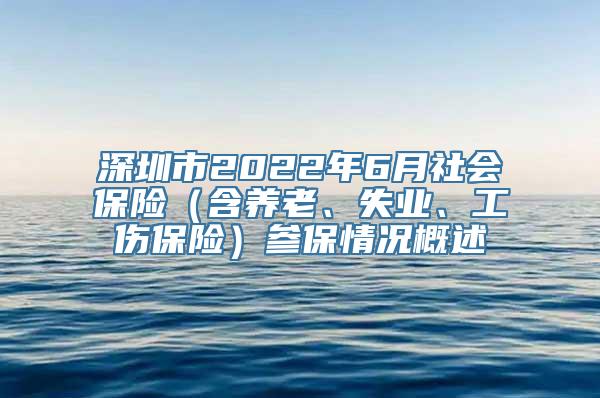 深圳市2022年6月社会保险（含养老、失业、工伤保险）参保情况概述