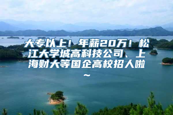 大专以上！年薪20万！松江大学城高科技公司、上海财大等国企高校招人啦~