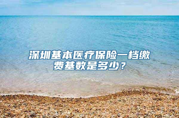 深圳基本医疗保险一档缴费基数是多少？