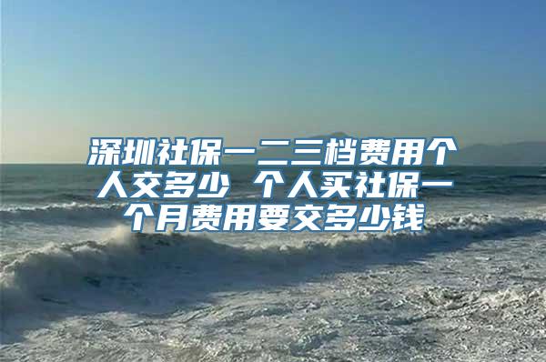 深圳社保一二三档费用个人交多少 个人买社保一个月费用要交多少钱