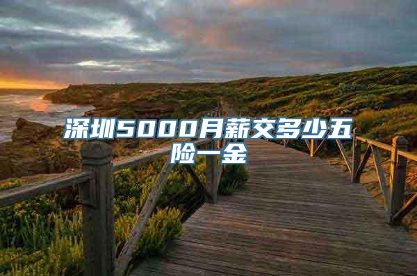 深圳5000月薪交多少五险一金